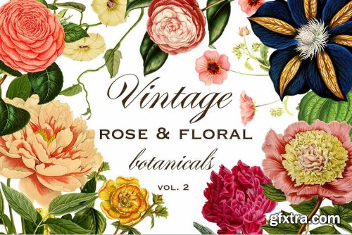 Mega Bundle of Gorgeous Flower Graphics