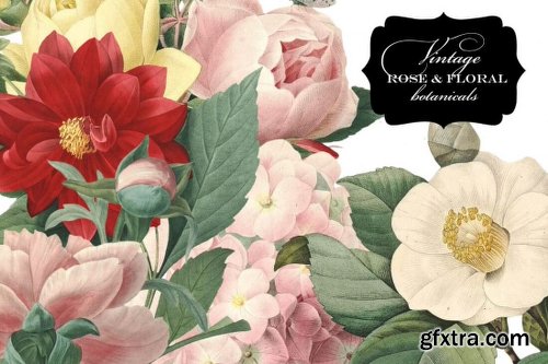 Mega Bundle of Gorgeous Flower Graphics