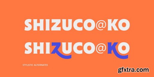 Cenzo Flare Font Family (RETAIL)