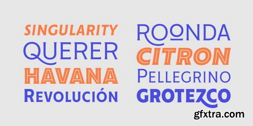 Cenzo Flare Font Family (RETAIL)