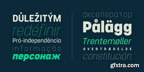 Project Sans Font Family (RETAIL)