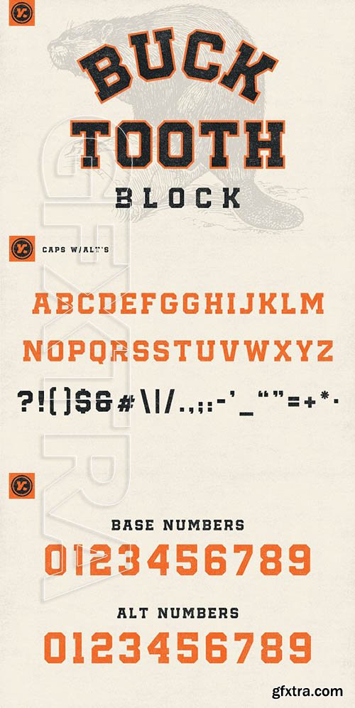 CreativeMarket - Bucktooth Block 1969136