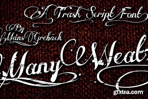 CM - Many Weatz Script Font 1120748