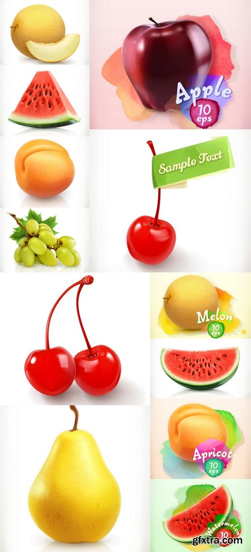 Fruit vector illustration