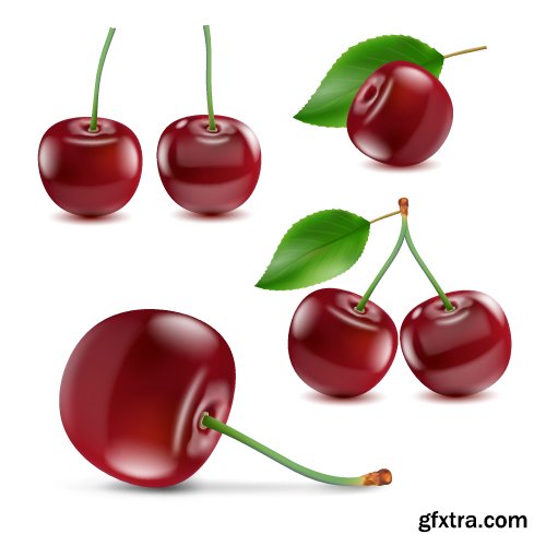 Vectors - Realistic Cherry Set