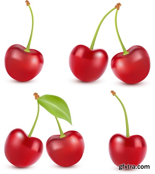 Vectors - Realistic Cherry Set