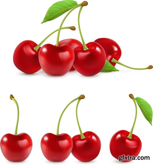 Vectors - Realistic Cherry Set