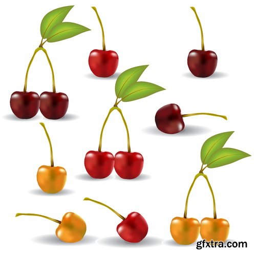 Vectors - Realistic Cherry Set