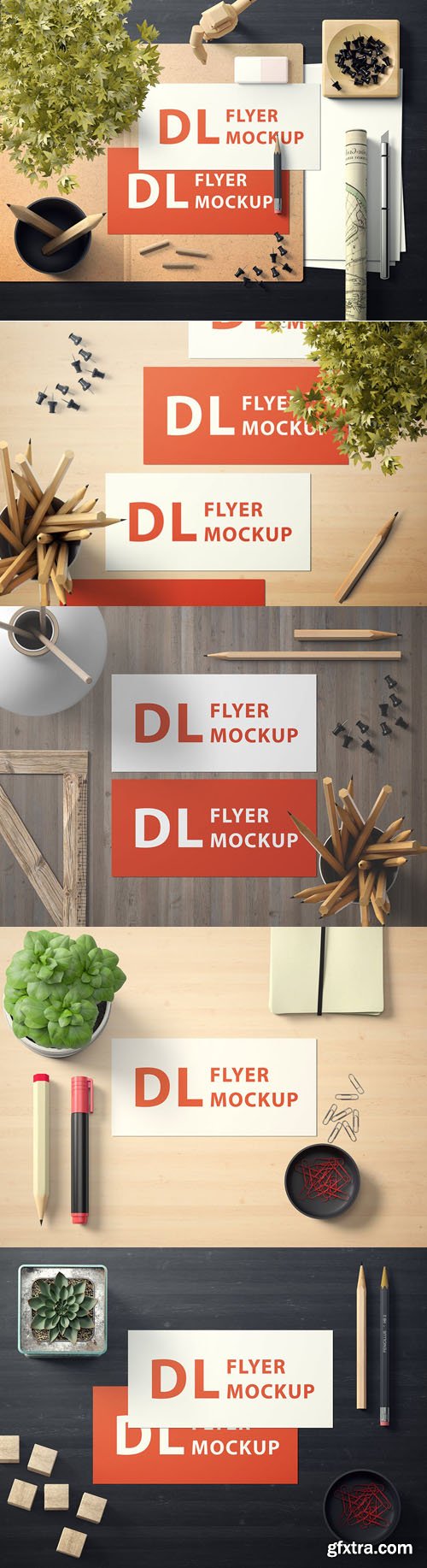 Landscape DL Flyer Mockup