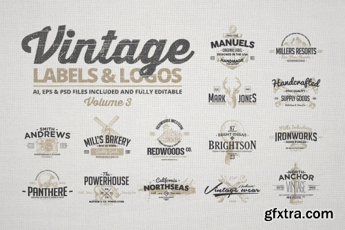 150+ Vintage Logos and Photo Mock-Ups Bundle