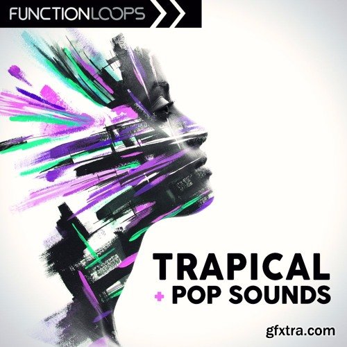 Function Loops Trapical and Pop Sounds WAV MiDi Sylenth1 and Ni Massive Presets-FANTASTiC