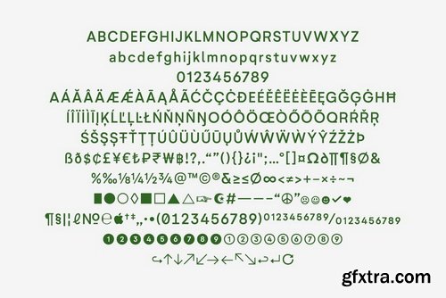 Neutrif Studio Font Family