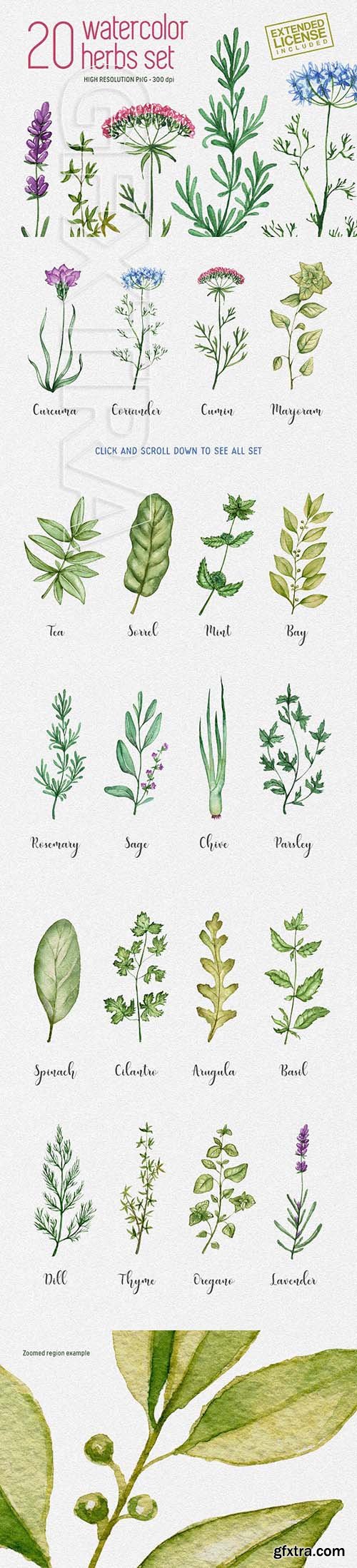 CreativeMarket - 20 watercolor herbs set 1974435