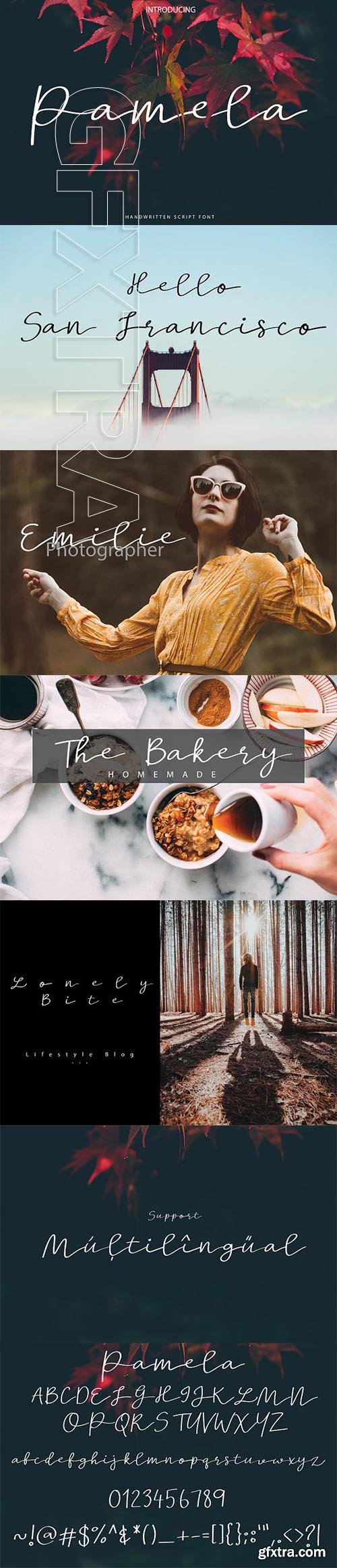 CreativeMarket - New Pamela Script Font 1984211