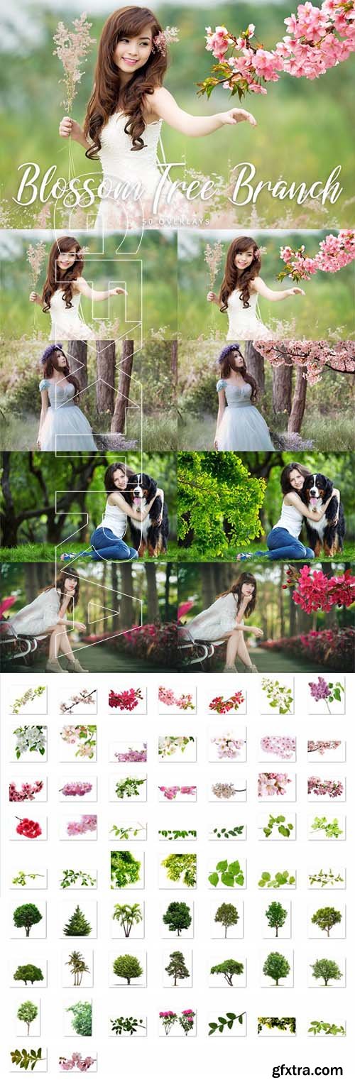 CreativeMarket - 50 Blossom Tree Branch Overlays 2003198