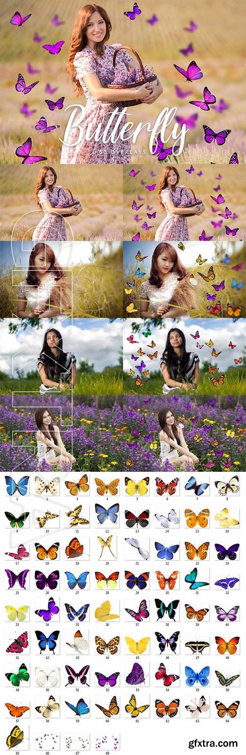 CreativeMarket - Butterfly Overlays - 60 Overlays 2003291