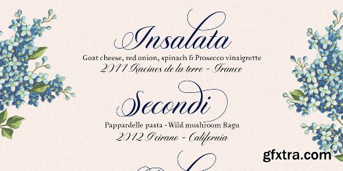 Diploma Script Font Family - 3 Fonts