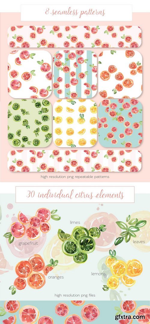 CM - Citrus Watercolor Pack 1247483