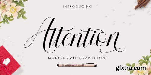 Attention Script Font Family - 2 Fonts