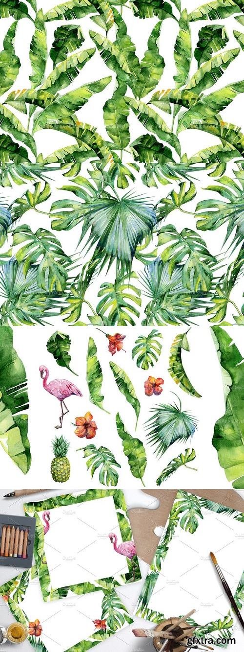 CM - Rainforest tropical set 1393067