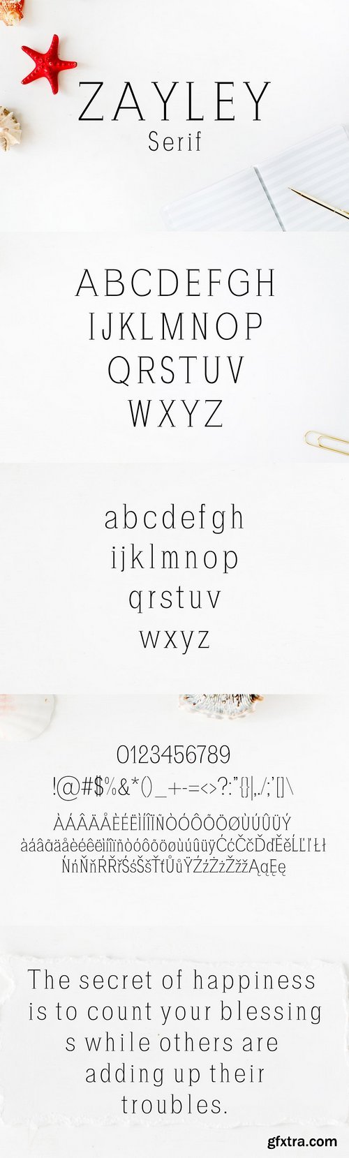 CM - Zayley Serif Regular Font 1955057