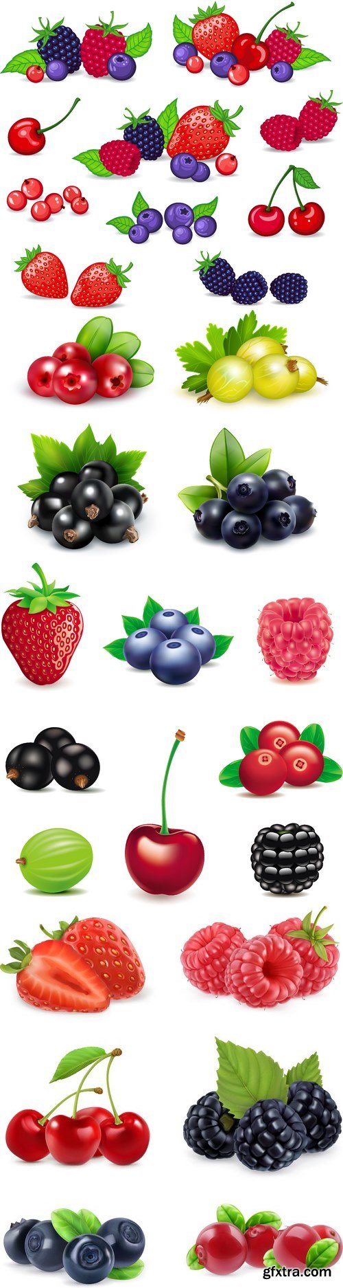 Vectors - Different Realistic Berries