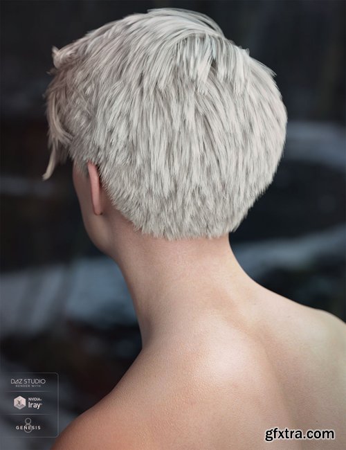 Lyall Hair for Genesis 3 & 8 Male(s)