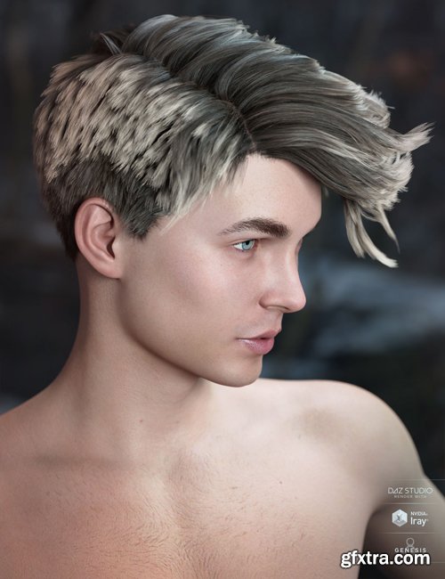 Lyall Hair for Genesis 3 & 8 Male(s)