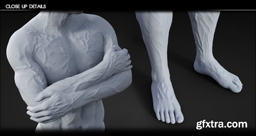 Vascularity HD for Genesis 8 Female and Male