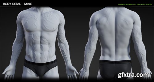 Vascularity HD for Genesis 8 Female and Male