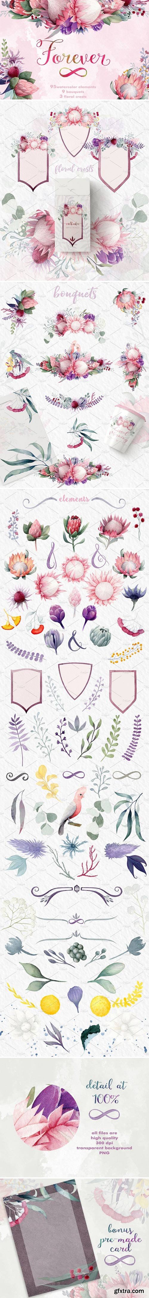 CM - Forever - watercolor flower set 910274