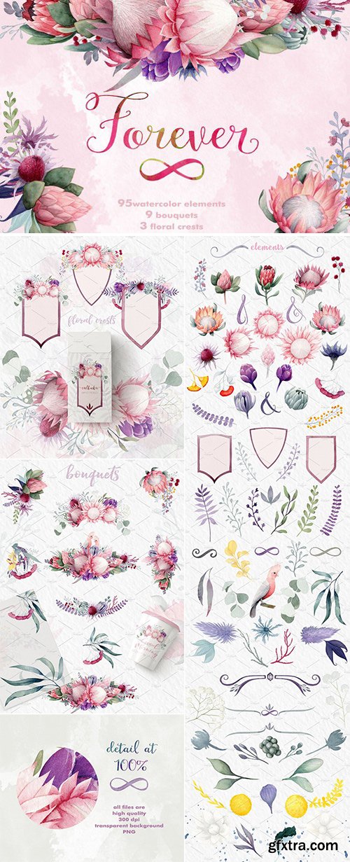 CM - Forever - watercolor flower set 910274