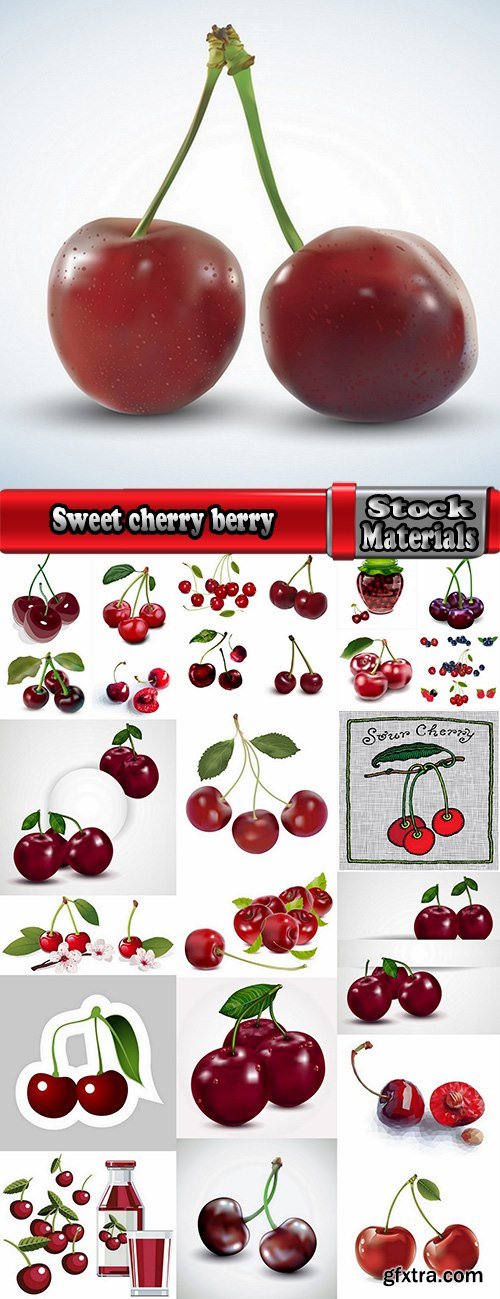 Sweet cherry berry vector image 25 EPS