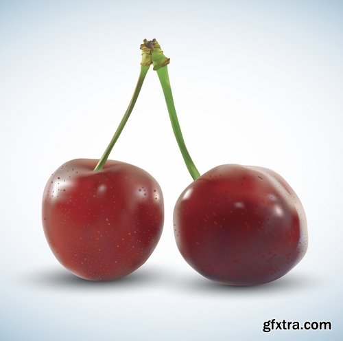 Sweet cherry berry vector image 25 EPS