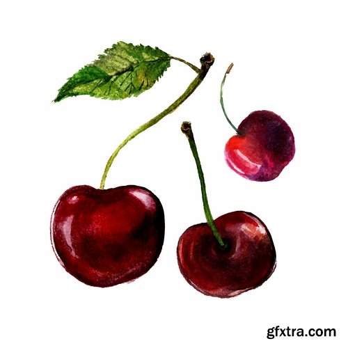 Sweet cherry berry vector image 25 EPS