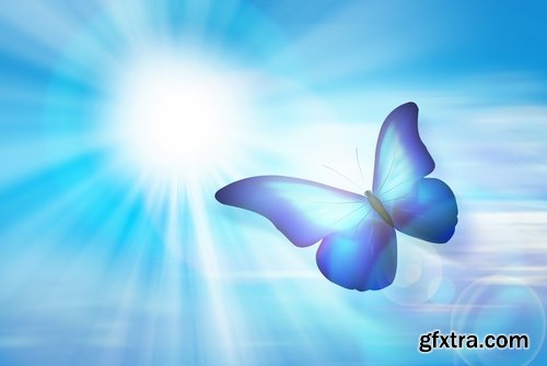 Butterfly macro conceptual illustration nature plant flower 25 HQ Jpeg