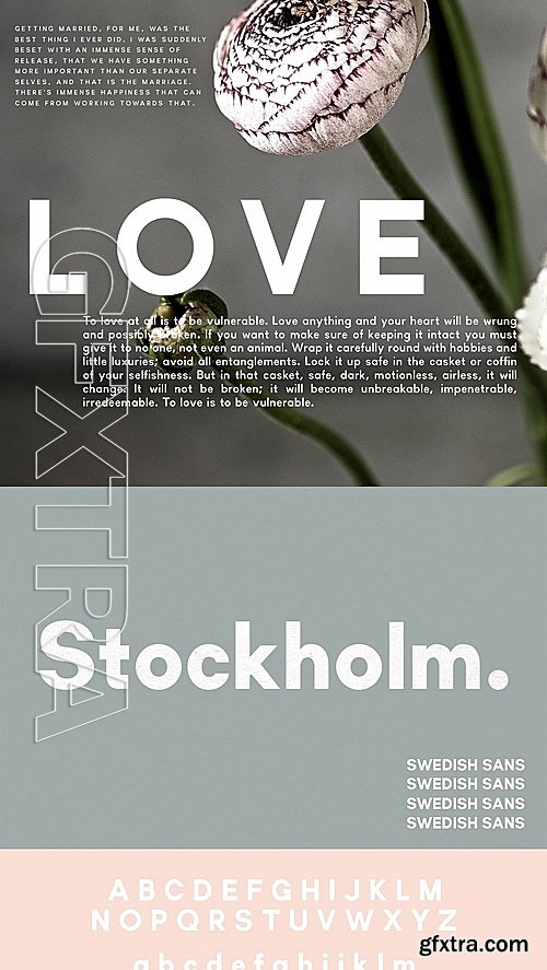 CM - Stockholm Two Weight Font Family 1390096