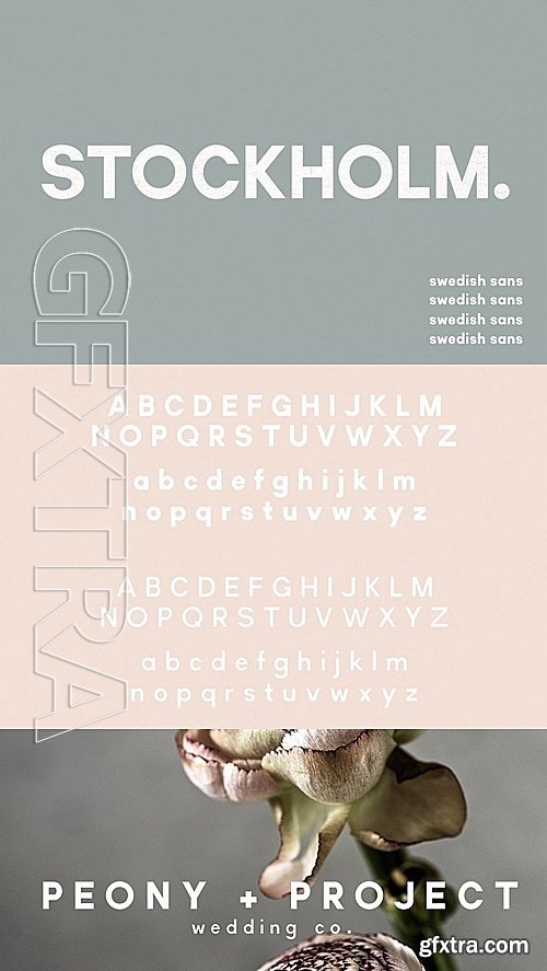 CM - Stockholm Two Weight Font Family 1390096