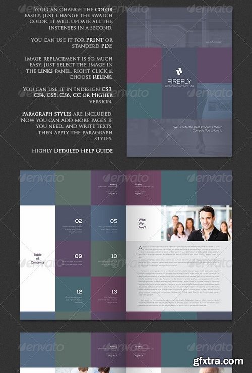 GraphicRiver - Firefly - Corporate Business Brochure 8353744