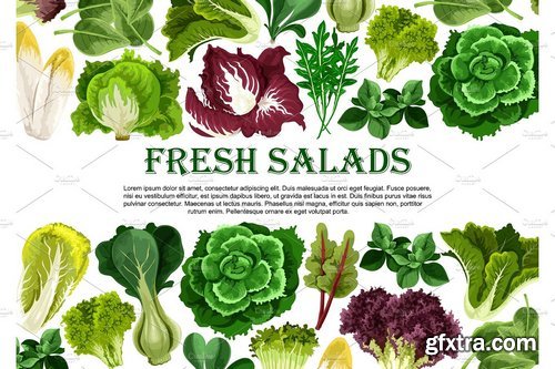 CM - Salad leaf, vegetable greens banner border design 1956132