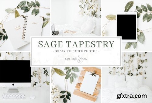 CreativeMarket Sage Tapestry Styled Stock Photos 2027795