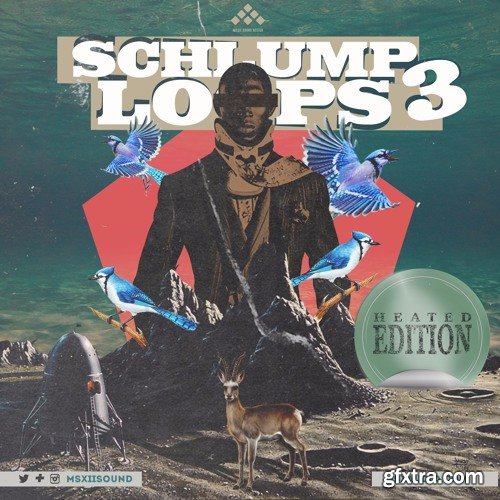 MSXII Sound Schlump Loops 3 WAV-FANTASTiC