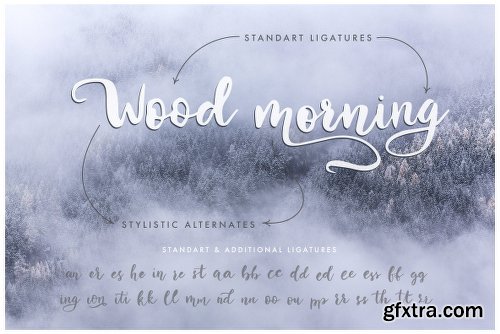 Winter Story Font Family - 2 Fonts