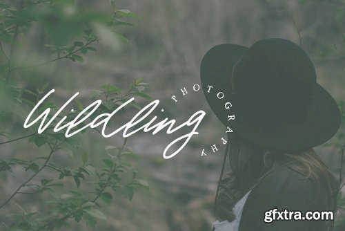 Warmth Script Font