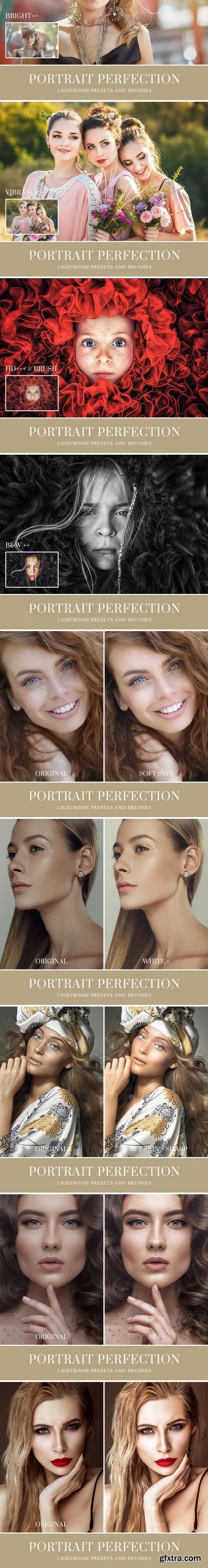 CM - Portrait Lightroom Presets and Brush 493328