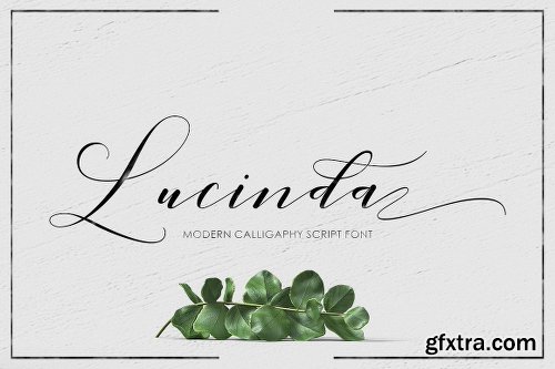 CreativeMarket Lucinda Script 2024515