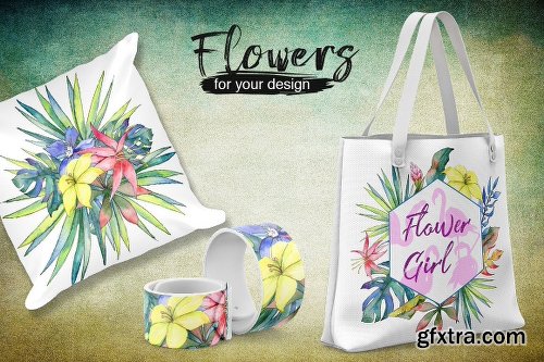 CreativeMarket Tropical PNG watercolor flower set 2027049