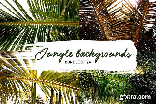 CreativeMarket TROPICAL LEAVES JUNGLE BUNDLE 2027243