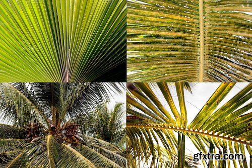 CreativeMarket TROPICAL LEAVES JUNGLE BUNDLE 2027243