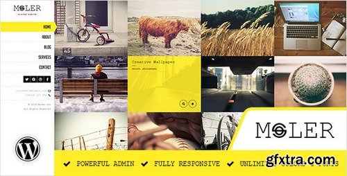 ThemeForest - Moler  v1.2 - Full Screen WordPress Portfolio 7351800